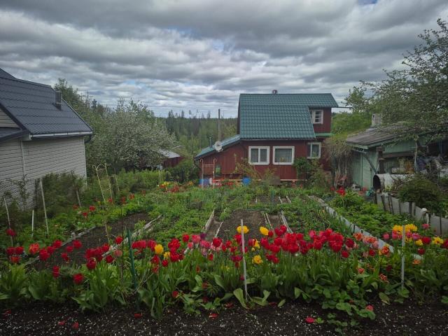 Ленинградская область, Орехово СНТ
