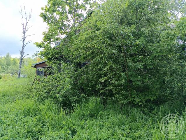 Красное Село г., Красных Командиров просп.