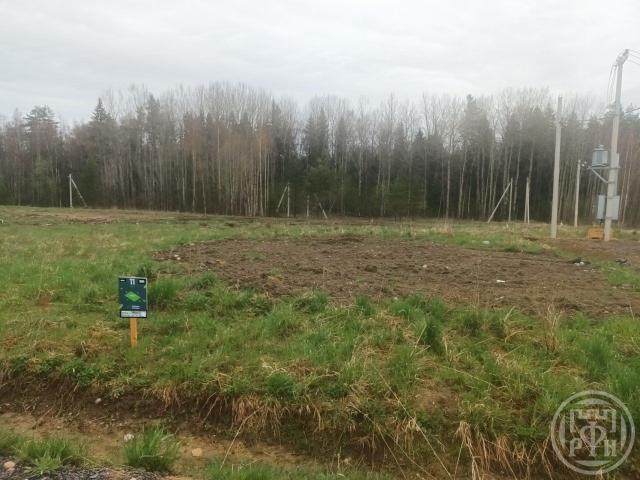 Кузнечики Клуб КП