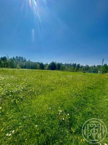 Ольховец дер.