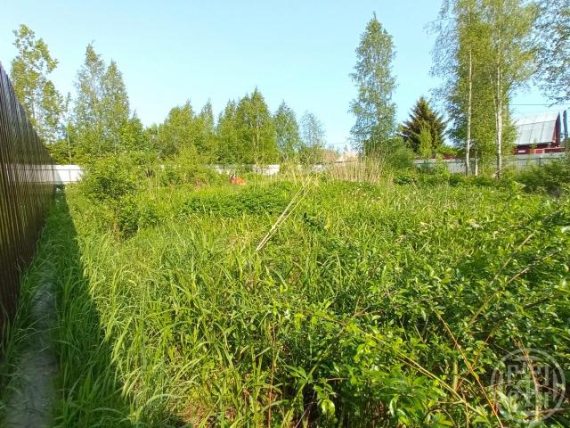 Сертолово г., Черная речка мкр