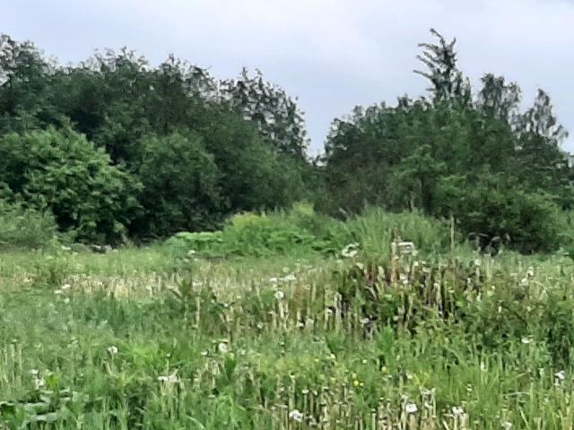 Красноармейское сад., 10026