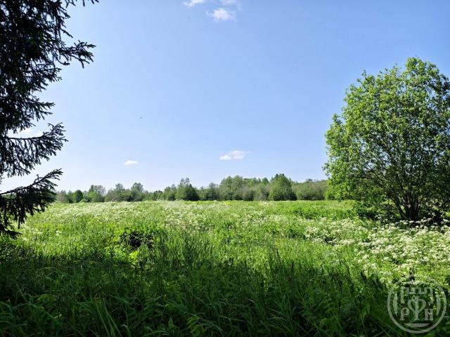 Порожки ур.