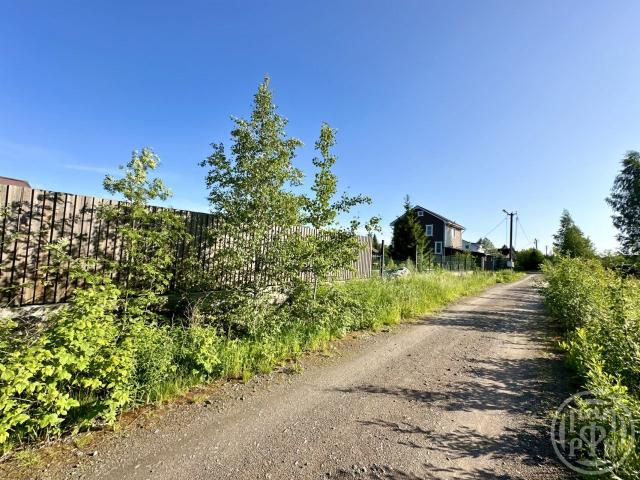 Матокса дер.