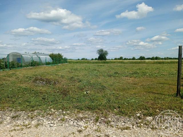 Простоквашино снт, Почтальона Печкина ул., д 154