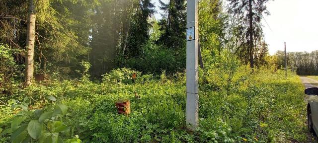 Ленинградская область, Клясино дер.