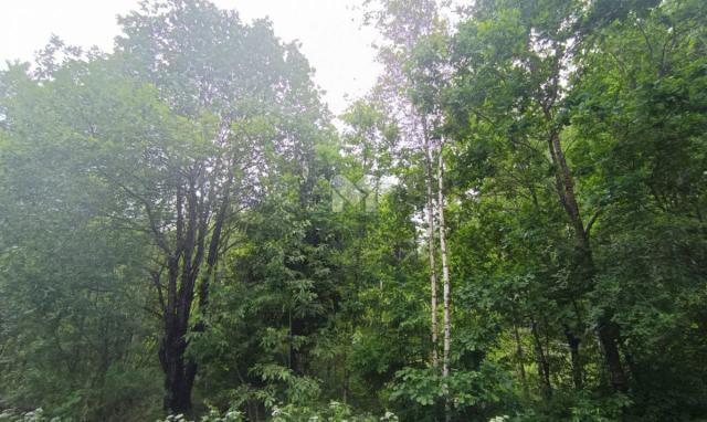 Жихарево дер