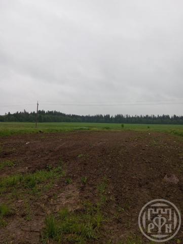 Малое Ондрово дер., д 8