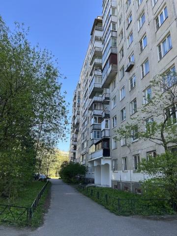 Светлановский проспект, 77