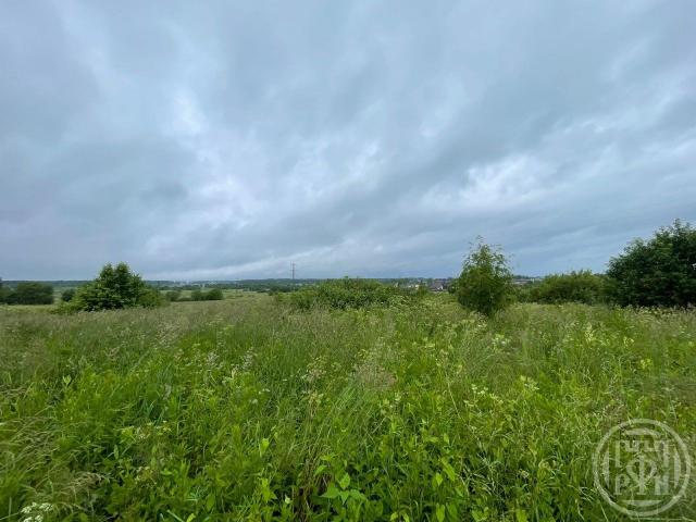 Низино дер.