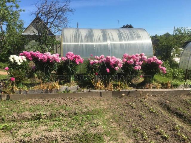 снт. Новинка-1