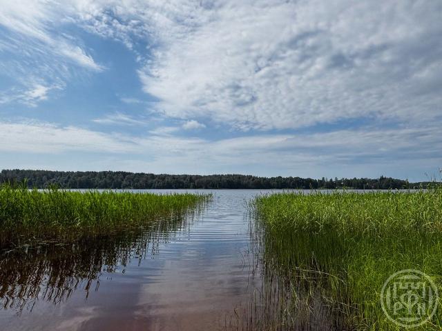 Пальцево пос., Локомотив-2 снт, д 7