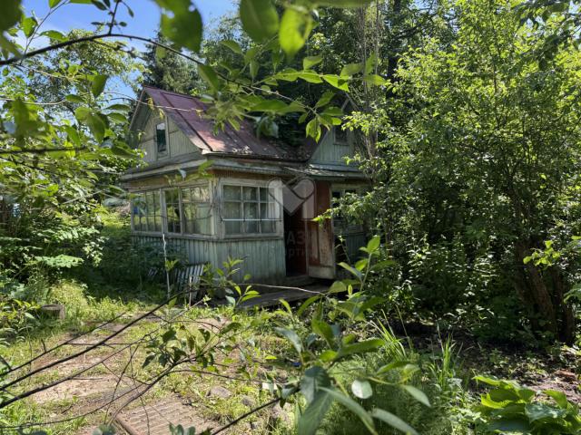 Дзержинец-2 СНТ, 45