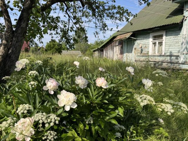 п. ж/д ст.. Войбокало