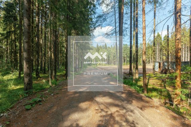 г. Зеленогорск, Лесная ул.