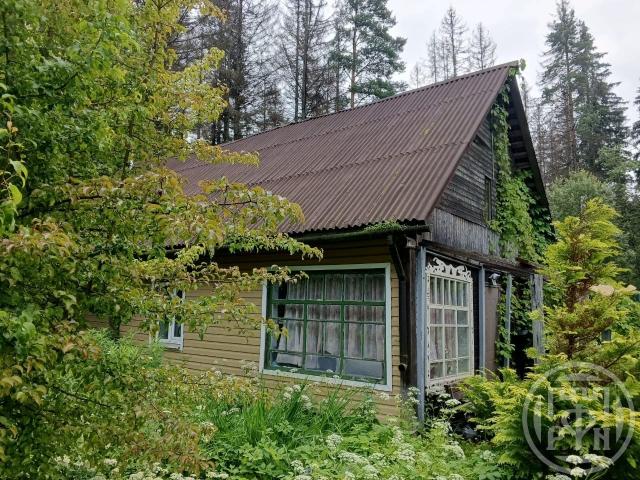 Рощино пос., Сухотского ул.