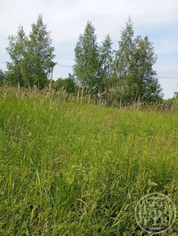 Оранжерейка дер., Микрорайон1 ул.