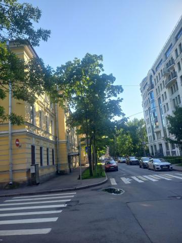 Офицерский пер., 7