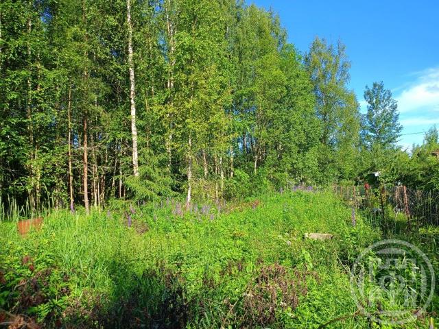 Спутник-2 снт