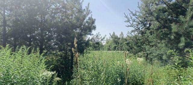 Всеволожск