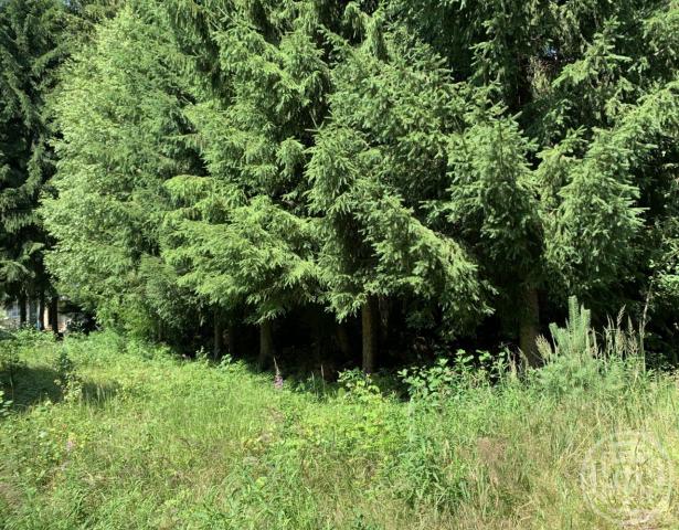 Яковлево пос.