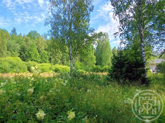 Спутник-2 снт