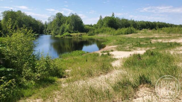 Низово дер.