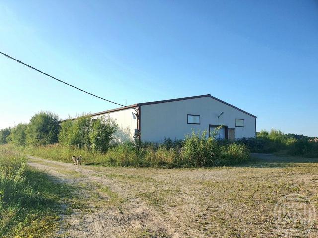 Луйсковицы дер., Лесная ул.