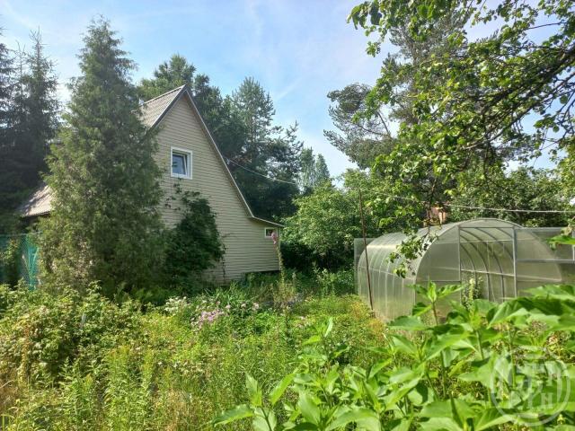 Дунай массив, Энергетик снт