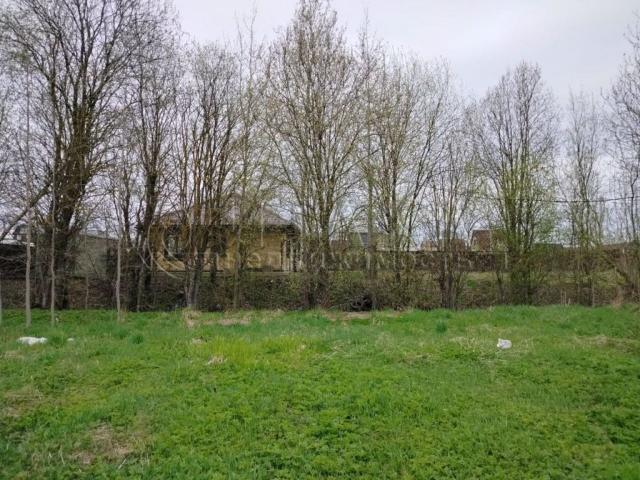 д. Пустошка