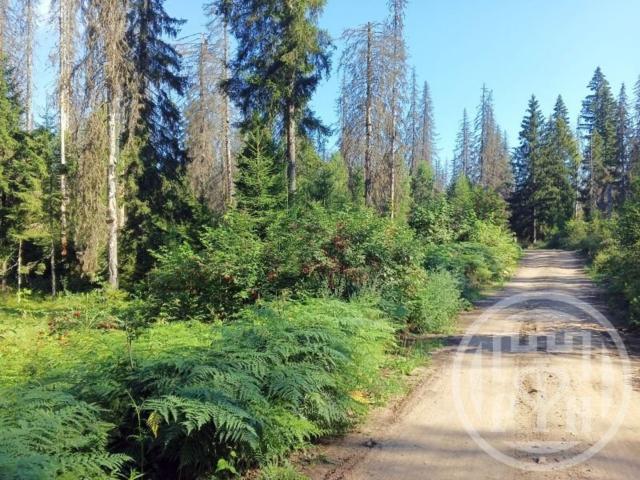 Симагино пос.