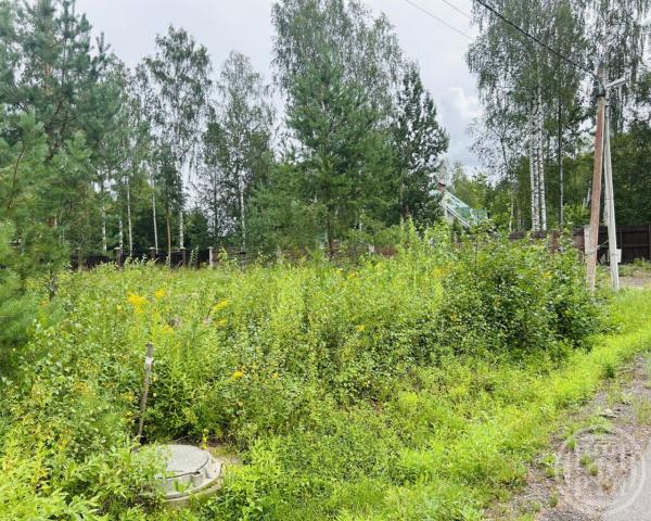 Сертолово г., Березовая Роща днп, д 19