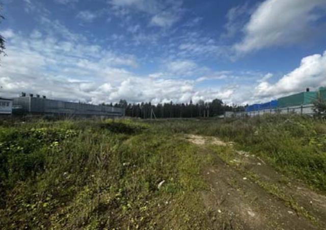 Белоостров, Белоостровец территория снт