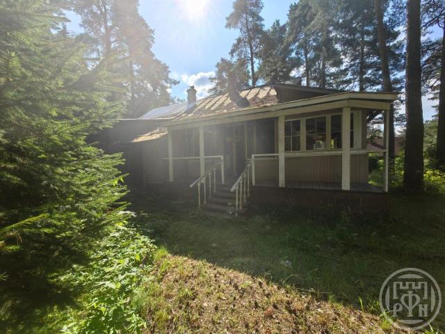 Токсово пос., Сосновая аллея