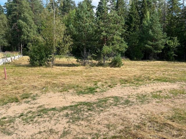 Ленинградская область, Линтулово КП, Щегловый проезд, 15