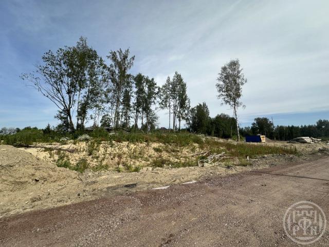 Старая Пустошь дер.