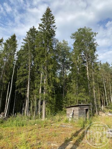 Сертолово г., Медное озеро 3 днп