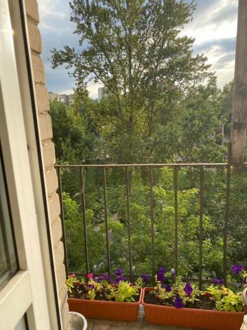 Будапештская ул., 23к2А