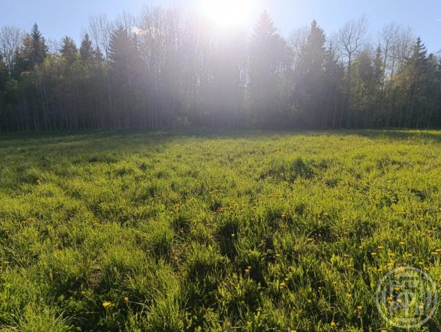 Цветочное тсн