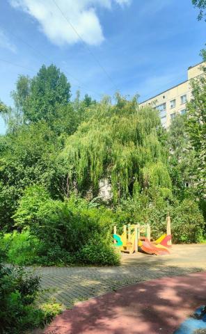 Купчинская ул., 4к1