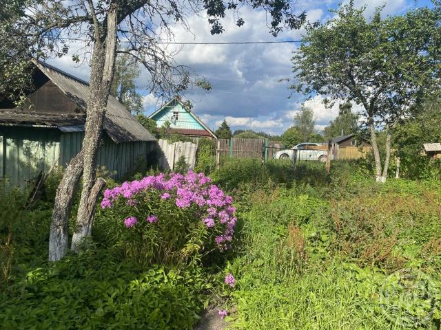 Заполье дер., д 12