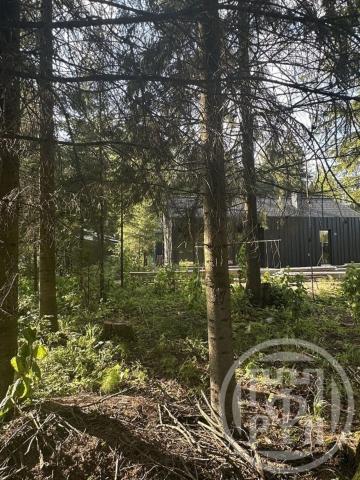 Кошкино дер., д 15А