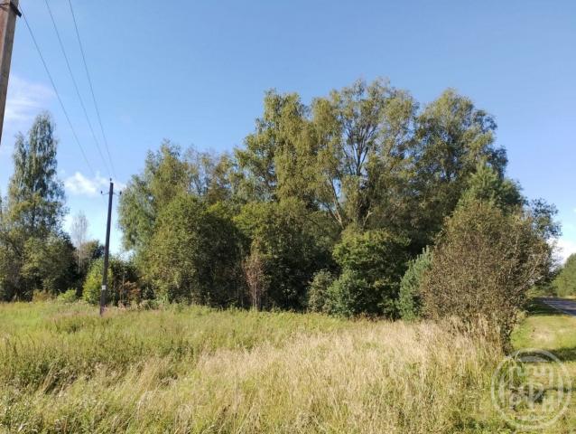 Оредеж пос., Сазанова ул.