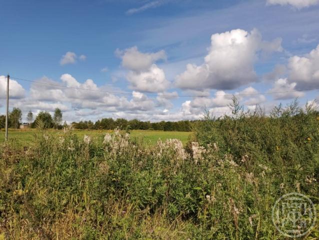 Долговка дер., д 1