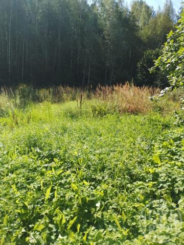 Стрешево дер., Стрешево снт, д 298