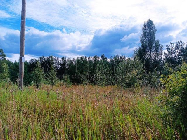 г. Лодейное Поле