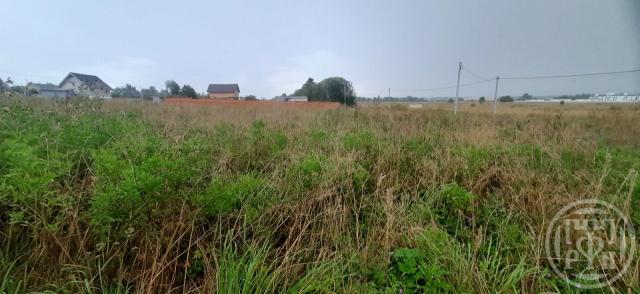 Велигонты дер.