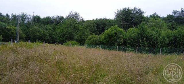 Гостилицы дер., д 122