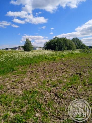 Горная поляна днп