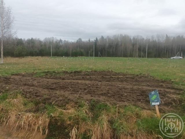 Кузнецы дер.